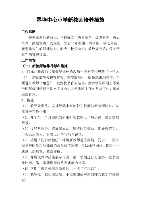 青年教师培养措施