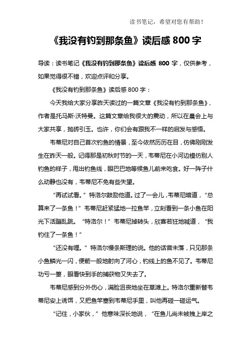 《我没有钓到那条鱼》读后感800字