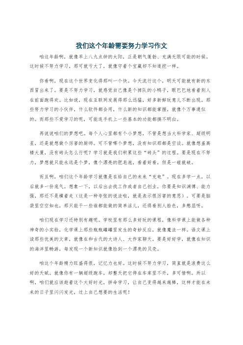 我们这个年龄需要努力学习作文