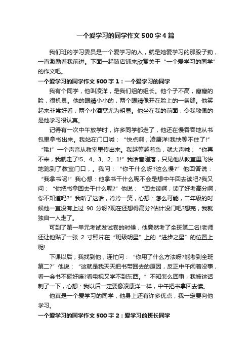 一个爱学习的同学作文500字4篇