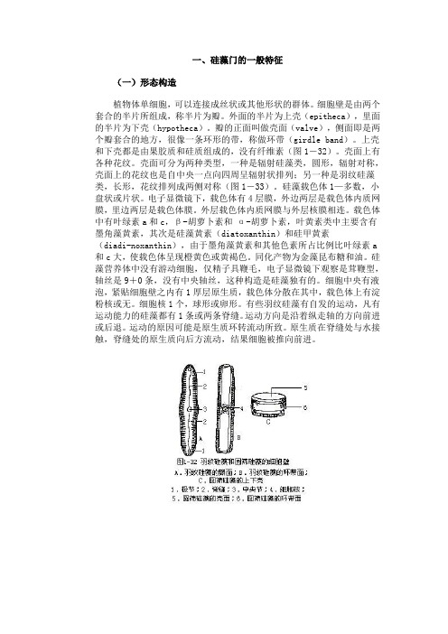 第七节 硅藻门