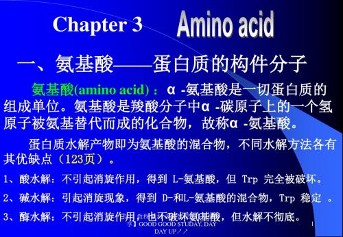 氨基酸蛋白质构件分子-精选文档