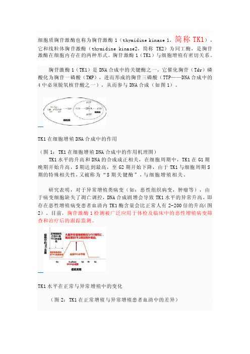 胸苷激酶1（thymidinekinase1,简称tk1）[指南]