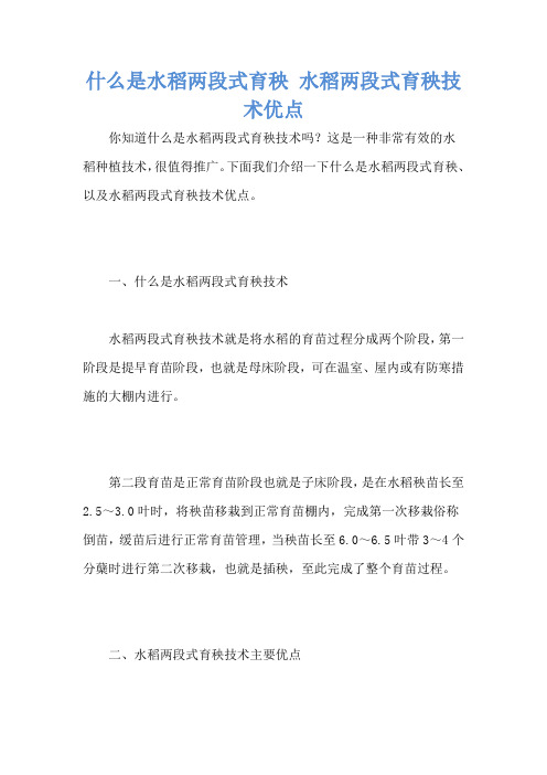 什么是水稻两段式育秧 水稻两段式育秧技术优点