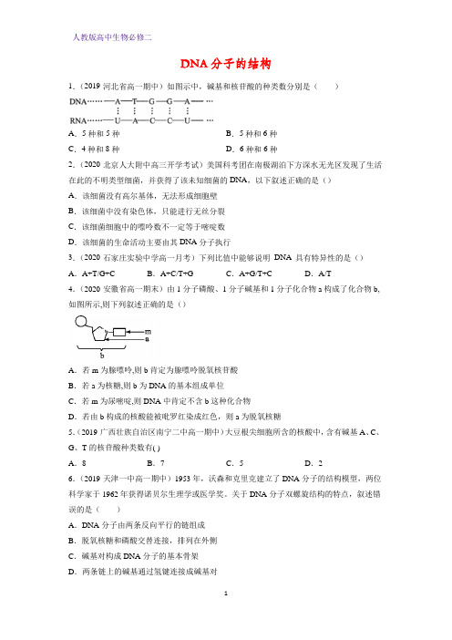 高中生物必修二课时作业27：3.2 DNA分子的结构