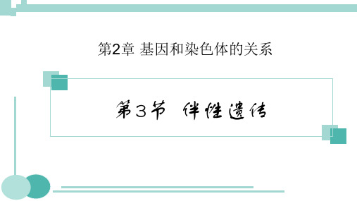 2.3伴性遗传   高一下学期生物人教版必修2