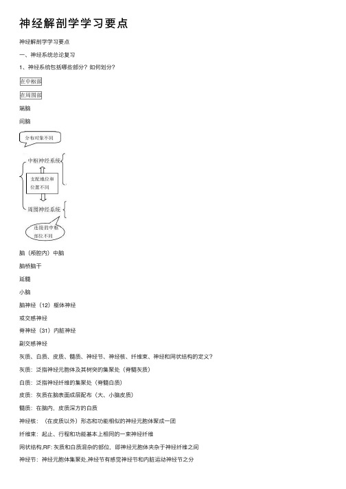 神经解剖学学习要点