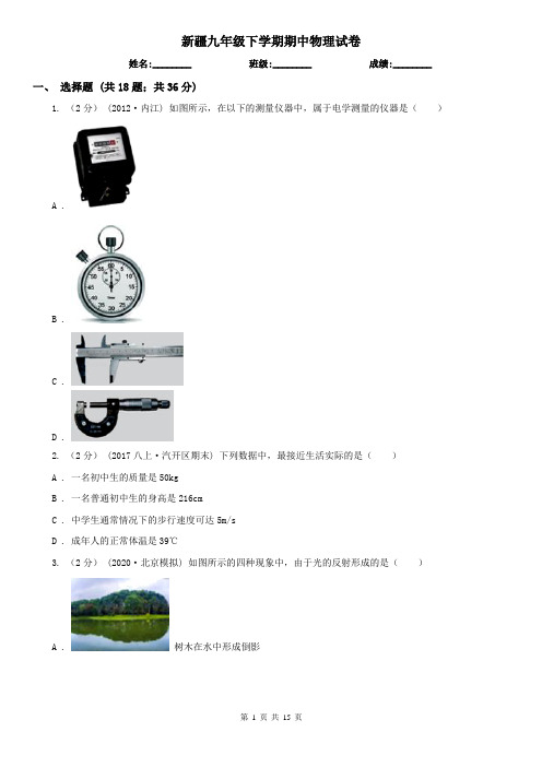 新疆九年级下学期期中物理试卷