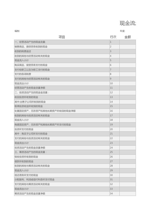 财务现金流量表