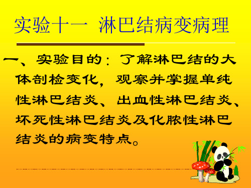 实验十一淋巴结病变病理