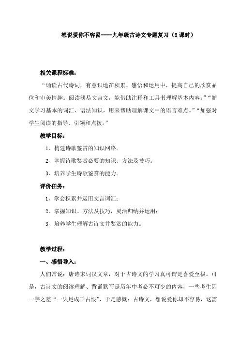 北师大版初中语文九年级古诗文专题复习