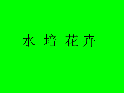 水培课共74页文档