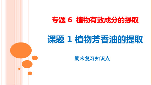 专题六植物有效成分的提取课件 高二生物人教版选修一