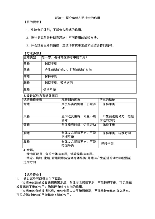 八年级生物实验报告册上