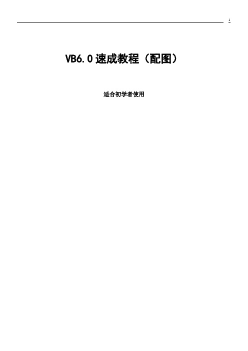 VB6.0图解教程