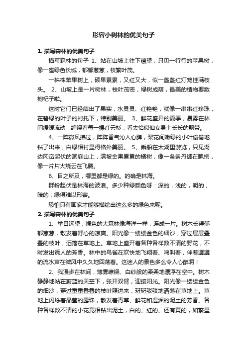 形容小树林的优美句子