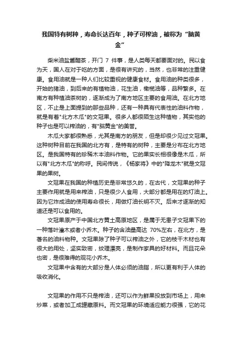 我国特有树种，寿命长达百年，种子可榨油，被称为“脑黄金”