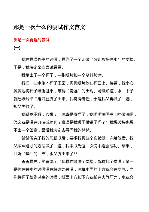 那是一次什么的尝试作文