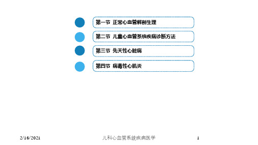 儿科心血管系统疾病医学课件