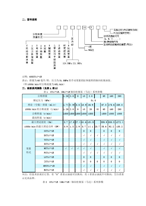 柱塞泵型号说明