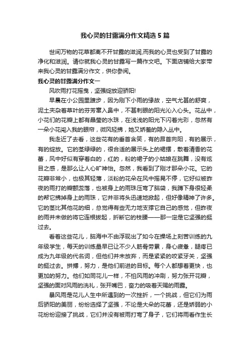 我心灵的甘露满分作文精选5篇