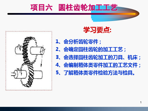 圆柱齿轮加工工艺