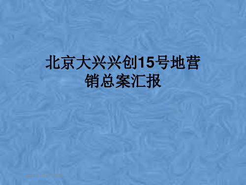 北京大兴兴创15号地营销总案汇报