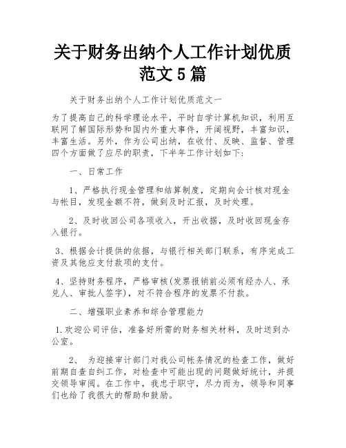 关于财务出纳个人工作计划优质范文5篇