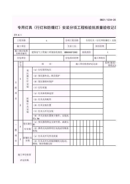 专用灯具(行灯和防爆灯)安装分项工程检验批质量验收记录