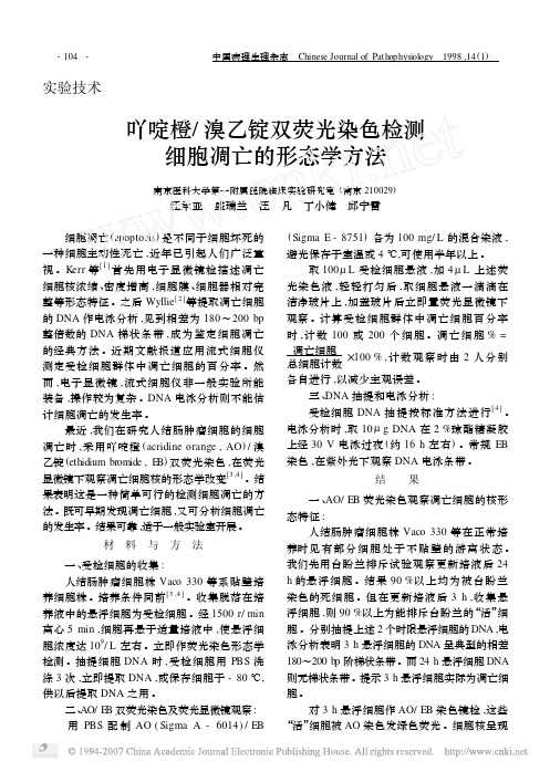 1003吖啶橙_溴乙锭双荧光染色检测细胞凋亡的形态学方法