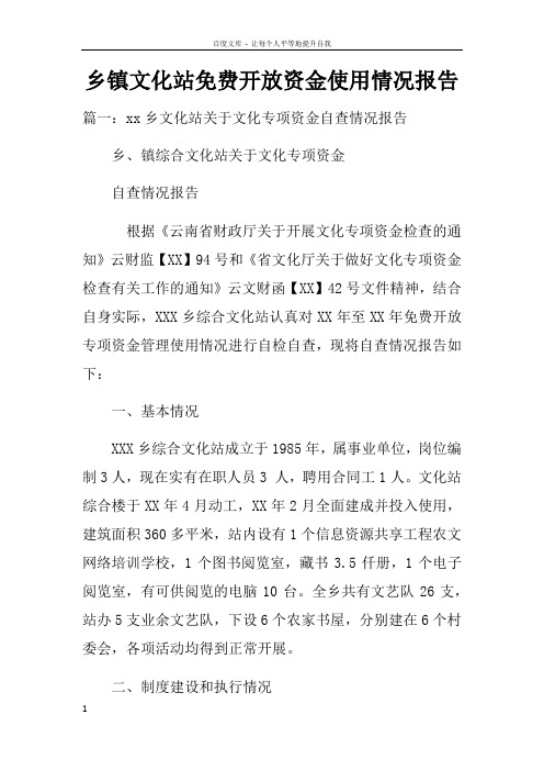 乡镇文化站开放资金使用情况报告doc