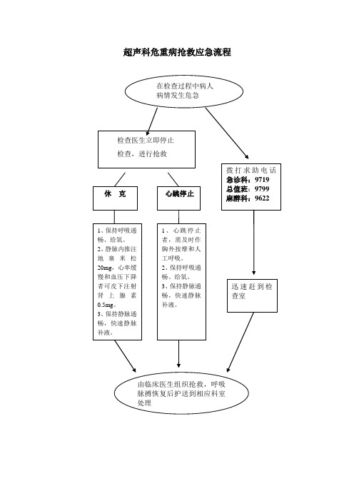 超声科危重病抢救应急流程图