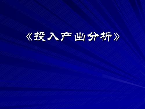 投入产出分析