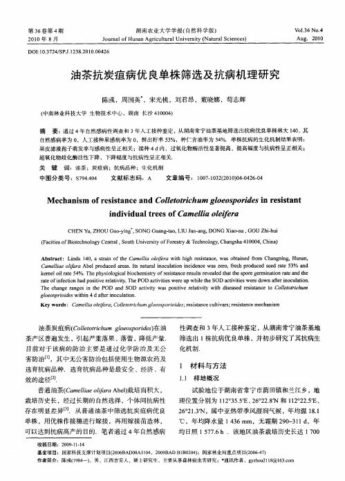 油茶抗炭疽病优良单株筛选及抗病机理研究