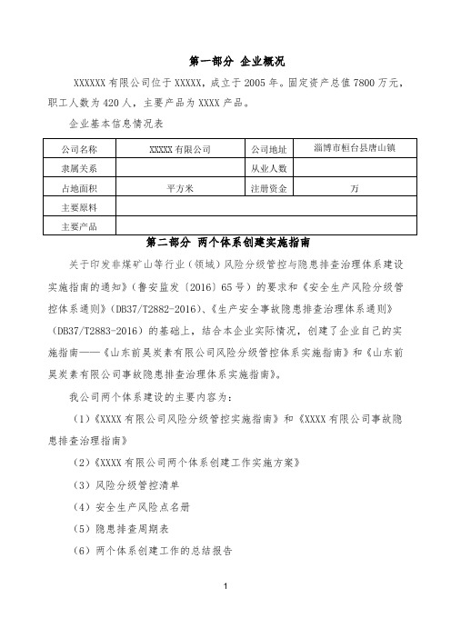 隐患排查及风险控制双体系总结报告