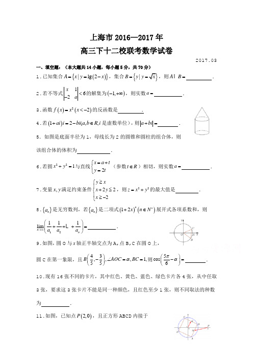 上海市十二校2017届高三下学期3月联考数学试卷 Word版含答案