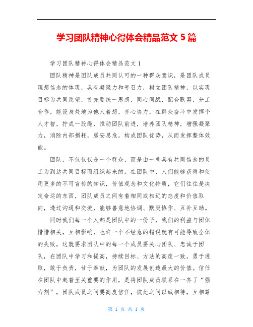 学习团队精神心得体会精品范文5篇