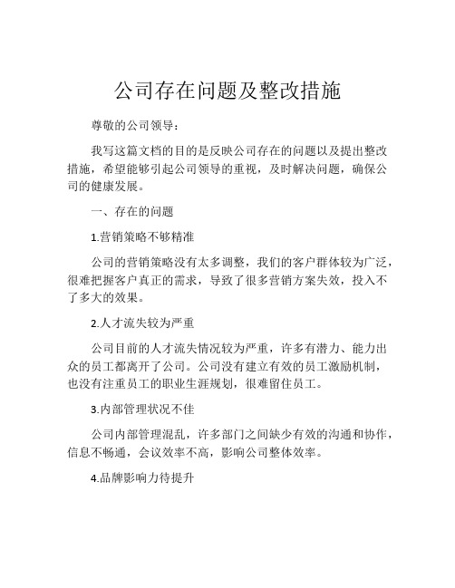 公司存在问题及整改措施