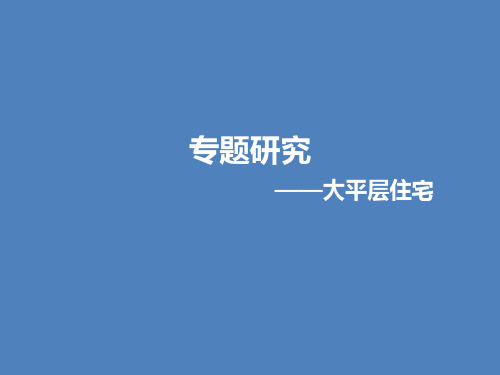 大平层住宅专题简析p调查分析报告PPT课件