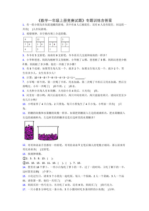 《数学一年级上册竞赛试题》专题训练含答案