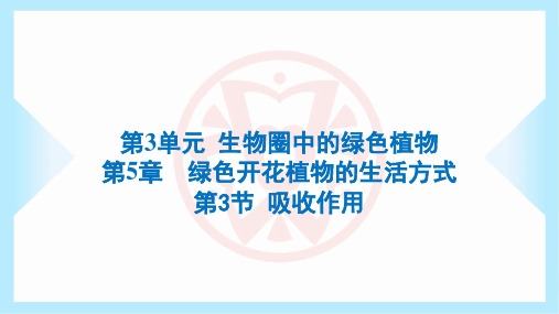 2023年北师大版七年级上册生物第3单元生物圈的绿色植物第5章绿色开花植物的生活方式第3节吸收作用