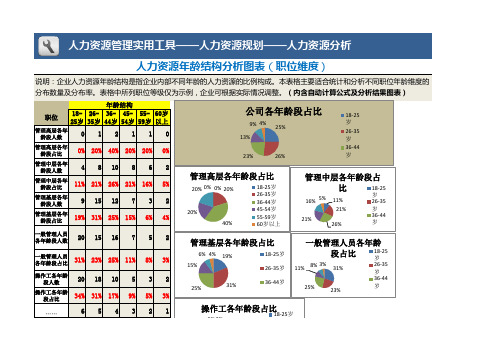 人力资源年龄结构分析图表