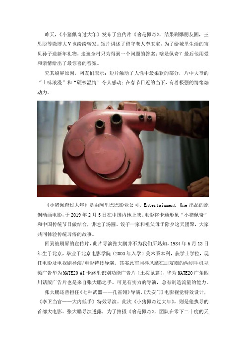 走心广告《啥是佩奇》刷屏!留守老人李玉宝上演春节最温情的“土味”浪漫!