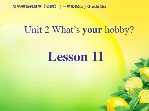 人教精通英语六年级上Unit 2What’s your hobby(Lesson 11)课