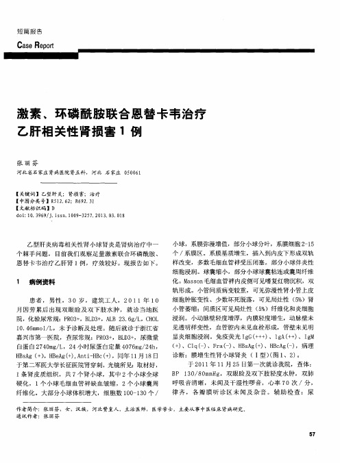 激素、环磷酰胺联合恩替卡韦治疗乙肝相关性肾损害1例