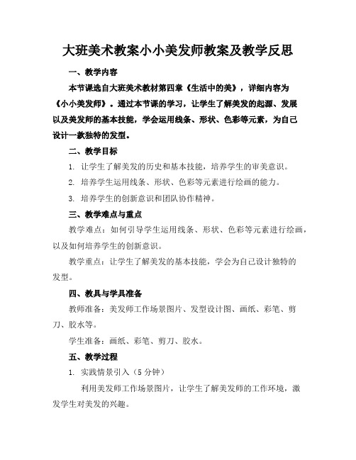 大班美术教案小小美发师教案及教学反思