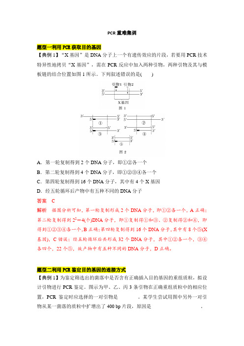 专题八 PCR重难集训(解析版)