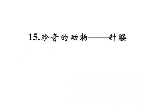 七年级语文下册(语文版)习题课件 15.珍奇的动物——针鼹