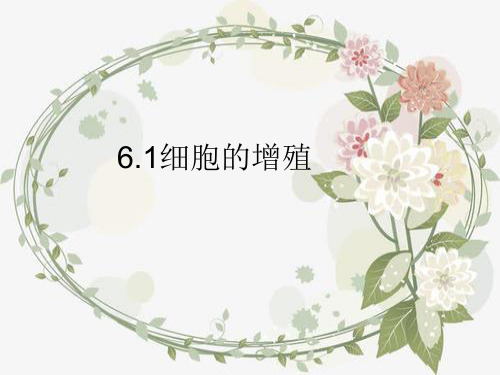 细胞的增殖课件【新教材】人教版高中生物必修一1