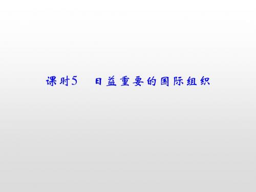 2020届高考政治(选修2)第一轮总复习课件：课时5 日益重要的国际组织